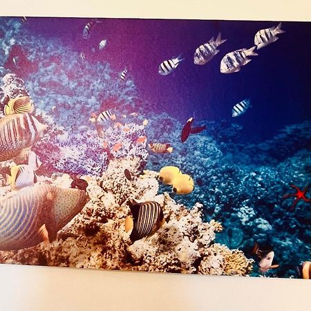 Casa Vacanza Cuto Bagheria Eksteriør bilde